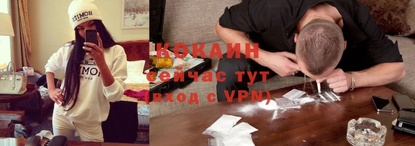 хмурый Алексин