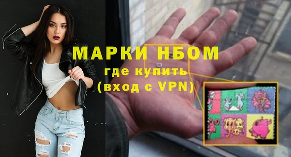 хмурый Алексин