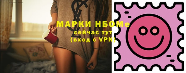 хмурый Алексин
