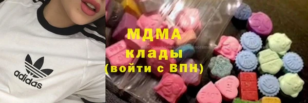 хмурый Алексин