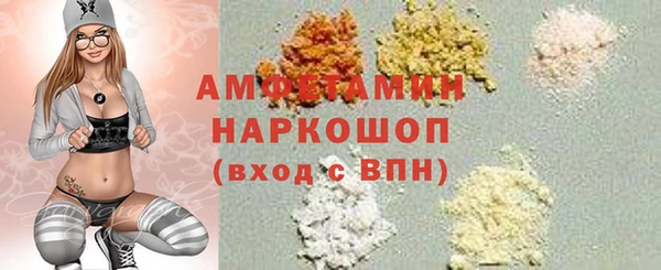 хмурый Алексин