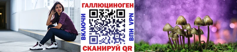 blacksprut как зайти  Хадыженск  Псилоцибиновые грибы Psilocybe 